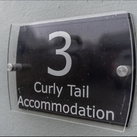 Curly Tail Accommodation Bishop's Castle Bagian luar foto