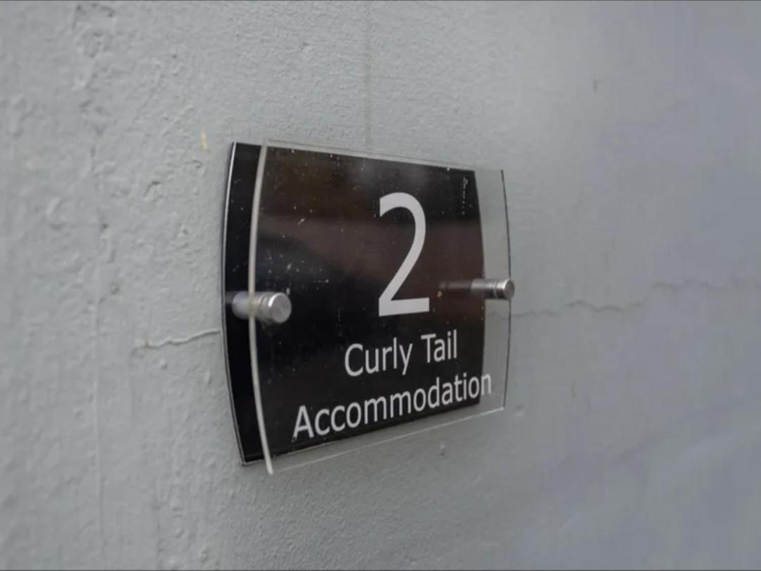 Curly Tail Accommodation Bishop's Castle Bagian luar foto